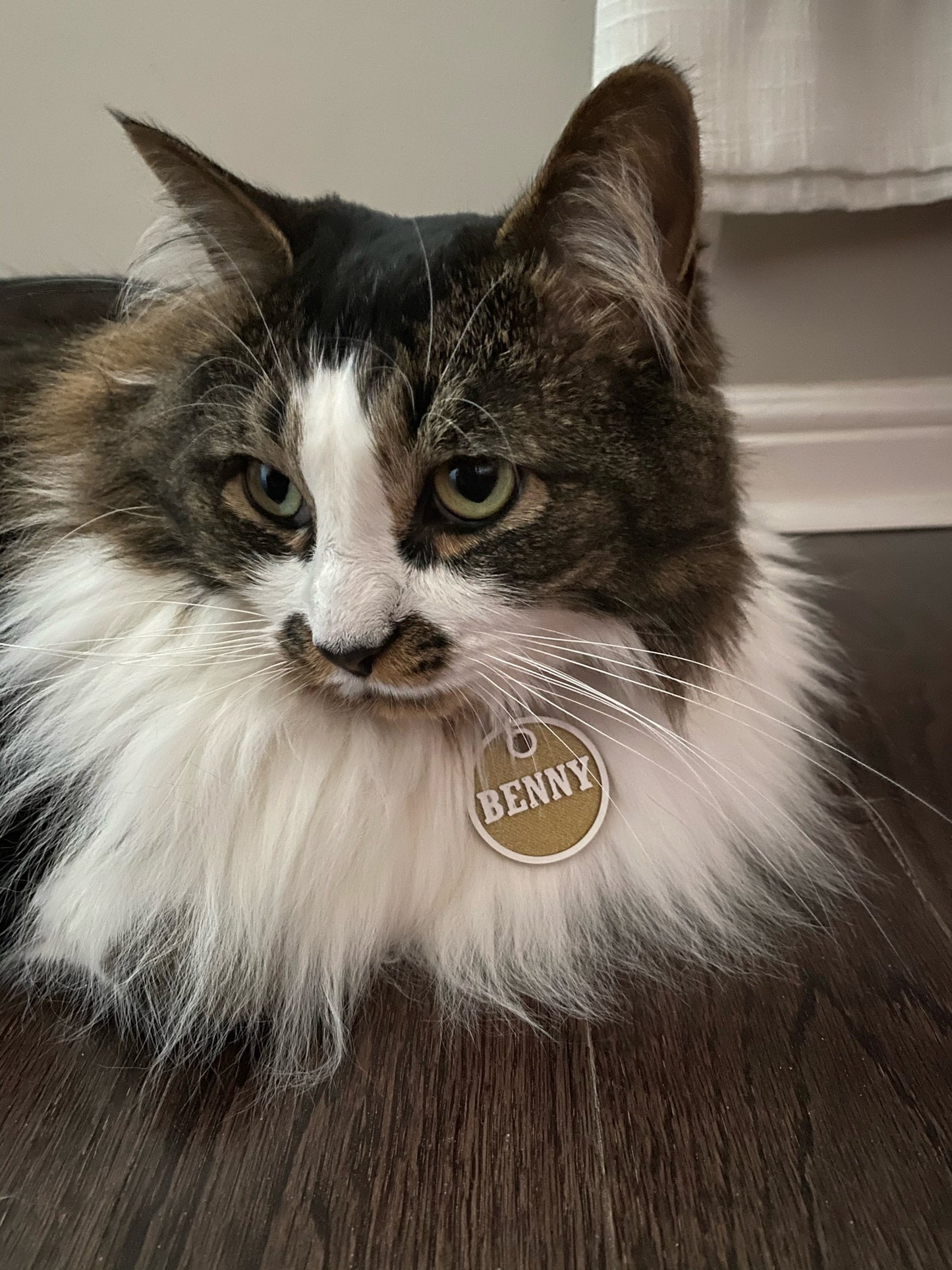Round ID Tag