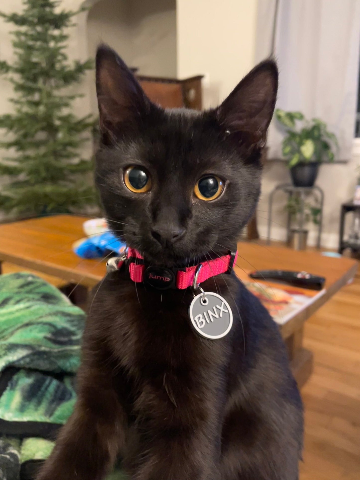 Round ID Tag