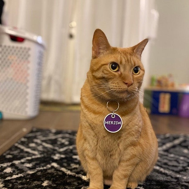 Round ID Tag