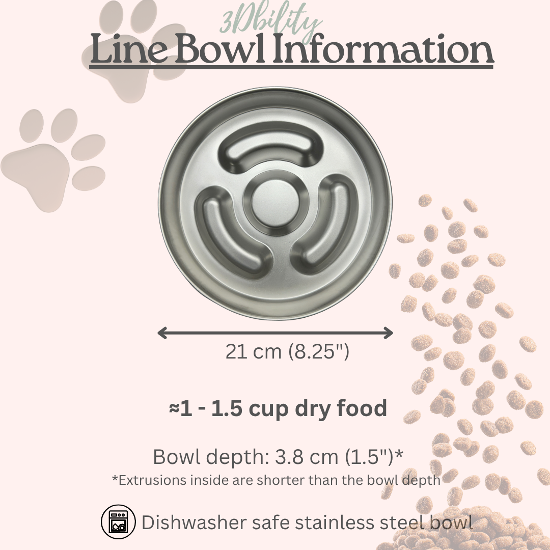 Personalized Slow Feeder Bowl with Lined Stainless Steel Insert