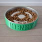 Personalized Slow Feeder Bowl with Lined Stainless Steel Insert