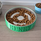 Personalized Slow Feeder Bowl with Lined Stainless Steel Insert
