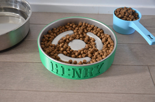 Personalized Slow Feeder Bowl with Lined Stainless Steel Insert