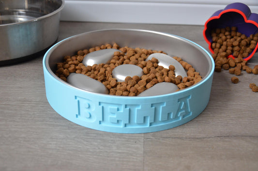 Personalized Slow Feeder Bowl with Aqua Stainless Steel Insert
