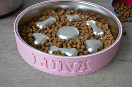 Personalized Slow Feeder Bowl with Bone & Hearts Stainless Steel Insert