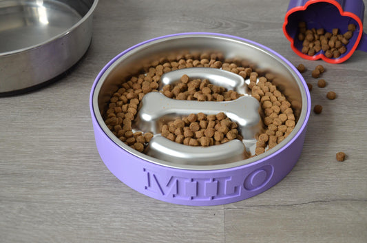 Personalized Slow Feeder Bowl with Bone & Line Stainless Steel Insert