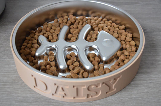 Personalized Bowl with Fish Bone Stainless Steel Insert