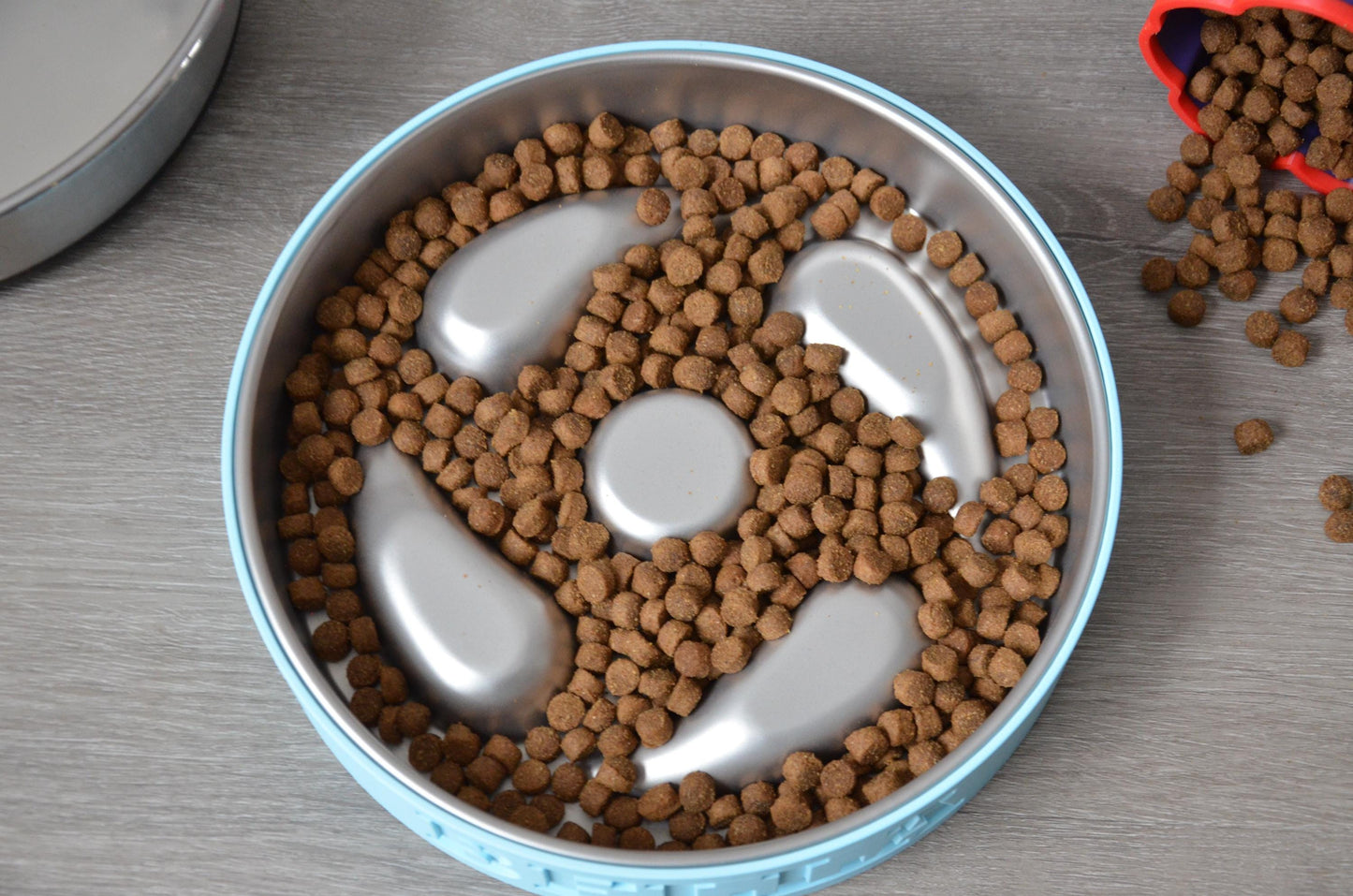 Personalized Slow Feeder Bowl with Aqua Stainless Steel Insert