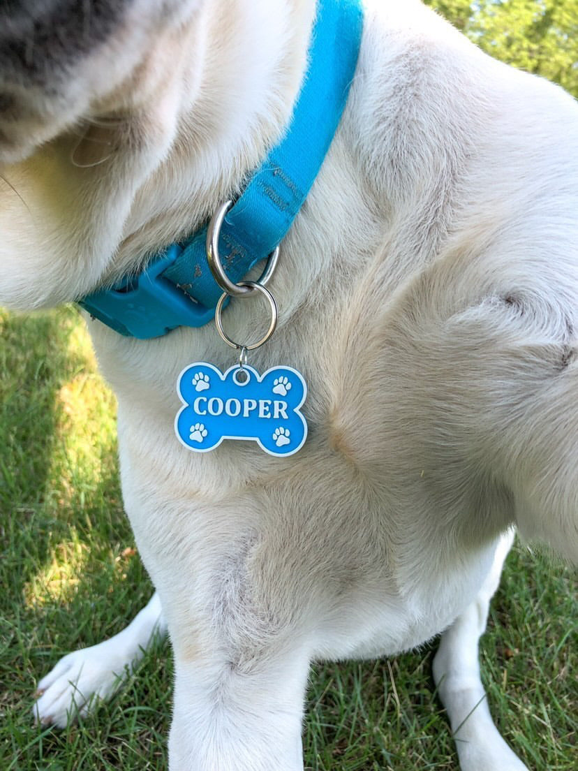 Bone ID Tag