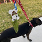 Poop Bag Holder