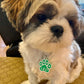 Paw ID Tag